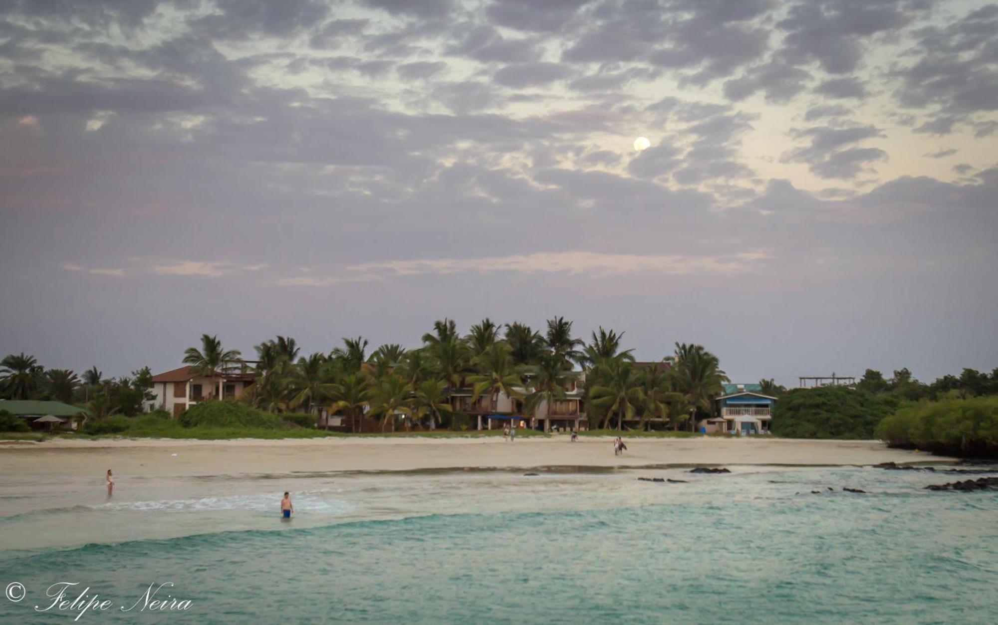 The Isabela Beach House Puerto Villamil Ngoại thất bức ảnh
