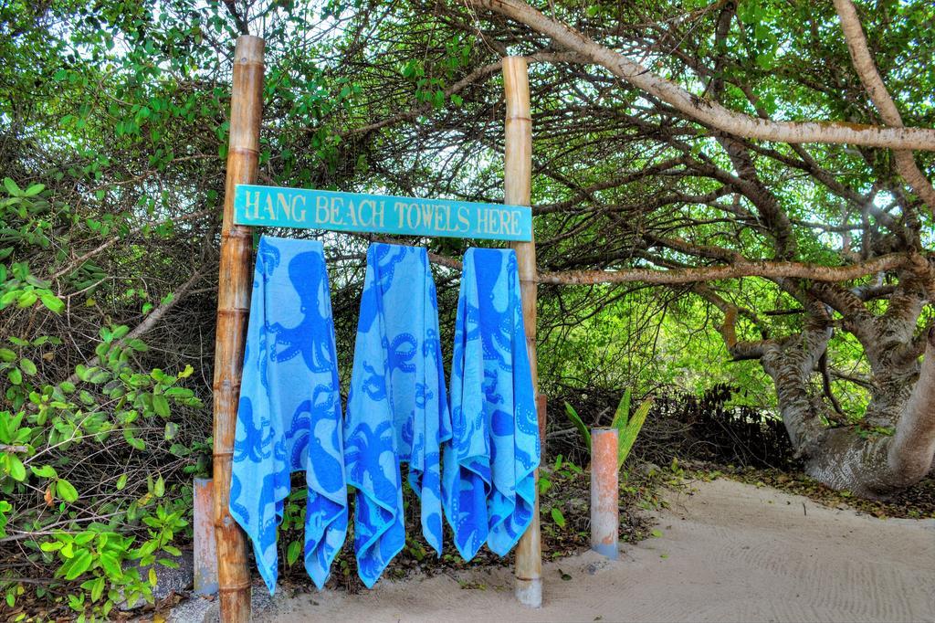 The Isabela Beach House Puerto Villamil Ngoại thất bức ảnh